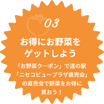 03 お得にお野菜をゲットしよう 「お野菜クーポン」で道の駅「ニセコビュープラザ直売会」の直売会で野菜をお得に買おう!